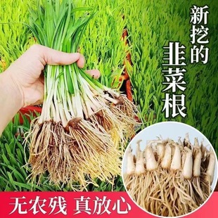 FڬFl¾²˸猒~ϼt²˸l̨ͥԺļ߲׳ɻ