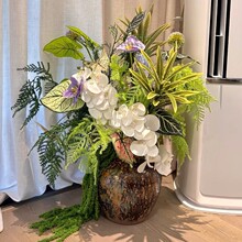 �׾Gɫϵ���滨�M���軨Ī�λ��@�Gֲ��ɫ�������û��Ķ�������