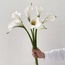 ���滨 �����R��ɏ ��ɫ���� PU�ٻ��͏d�����b[���Ĕz���߻�