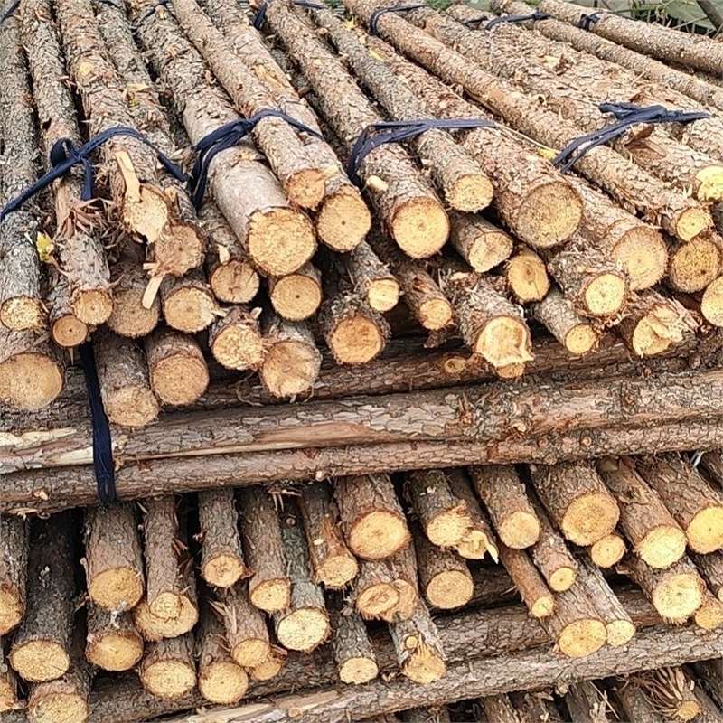 江苏无锡杉木桩河道打桩木桩驳岸护坡木桩打桩圆木杉木支撑杆