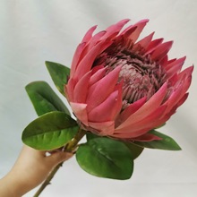 �Wʽ���s�Lֲ�q�����������؛�յف������އ�����c�bٻ�����