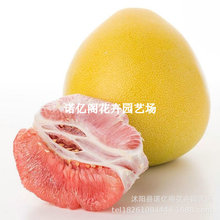 ��h�ĵ�����޽��������ĵ����Ә��箔��Y�������ϱ����N������