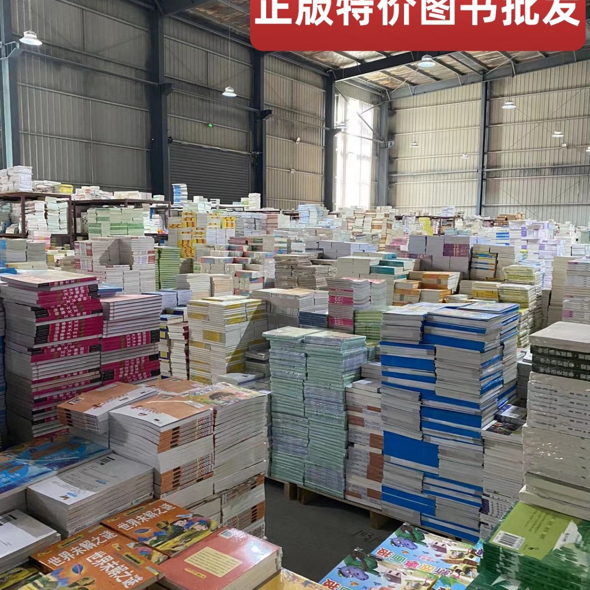 图书批发正版二手书籍小说儿童读物绘本课外书籍批书按斤卖论旧书