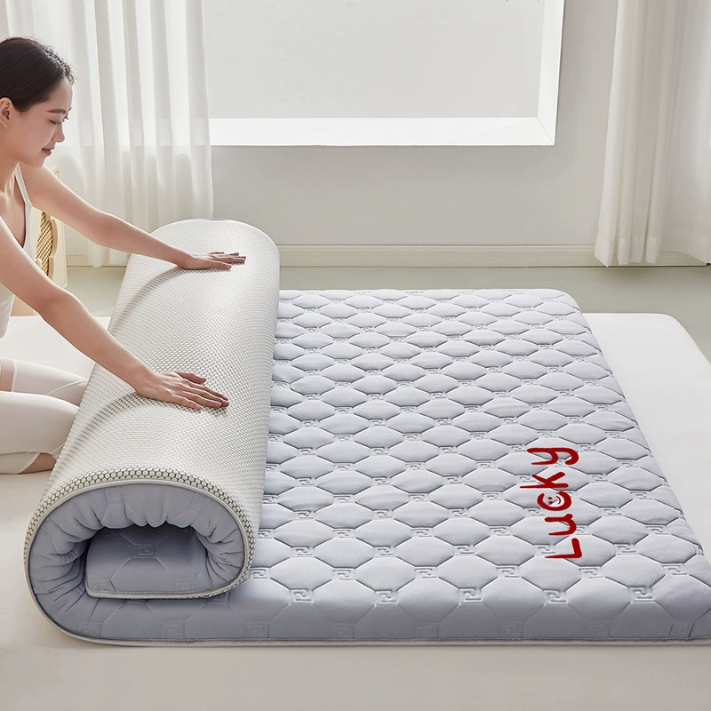 Памятный хлопок ватное подушечка мягкие коврики для дома спальни tatami общежитие односпальная матрац арендуемая квартира