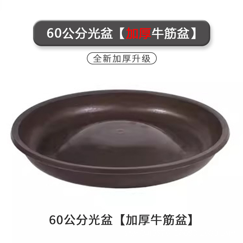 鶏鴨ガチョウの食槽を厚くして、鶏の食槽に鶏の食槽を与えます。|undefined