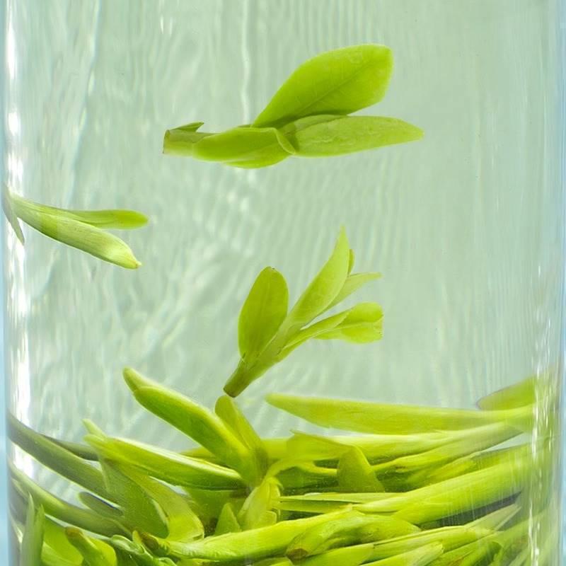 新茶 本物の明前龍井茶 特級茶 杭州地域緑茶 春茶 バルク缶 500g|undefined