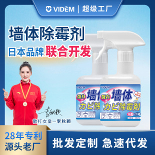Decontamination White Wall Repair Wall Self-painting Wall Household White German Self-painting Waterproof