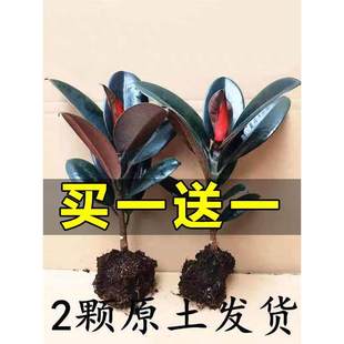 �ڽ�����Ƥ�����Ի���ֲ���҃ȿ͏d�����՚��k�����ݗ���辰�Gֲ