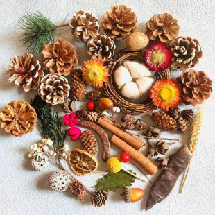 Wholesale pine cones wood chips leaves dried flowers dried fruit combination Christmas handmade diy decorative small ornaments photo props