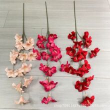 �ֹ����滨��֦��ˮ�ɻ�c��Y�bٻ����ķ��沼�Ô[���S�����l