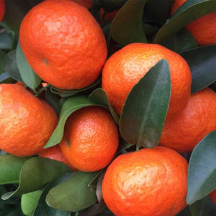 �������lɰ�ǽ��������o��ɰ������ɳ�ǽ��������箔��Y��