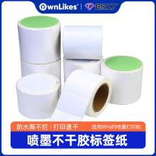 可定制喷墨打印机专用标签纸哑膜PP空白贴纸彩色卷筒标签打印纸