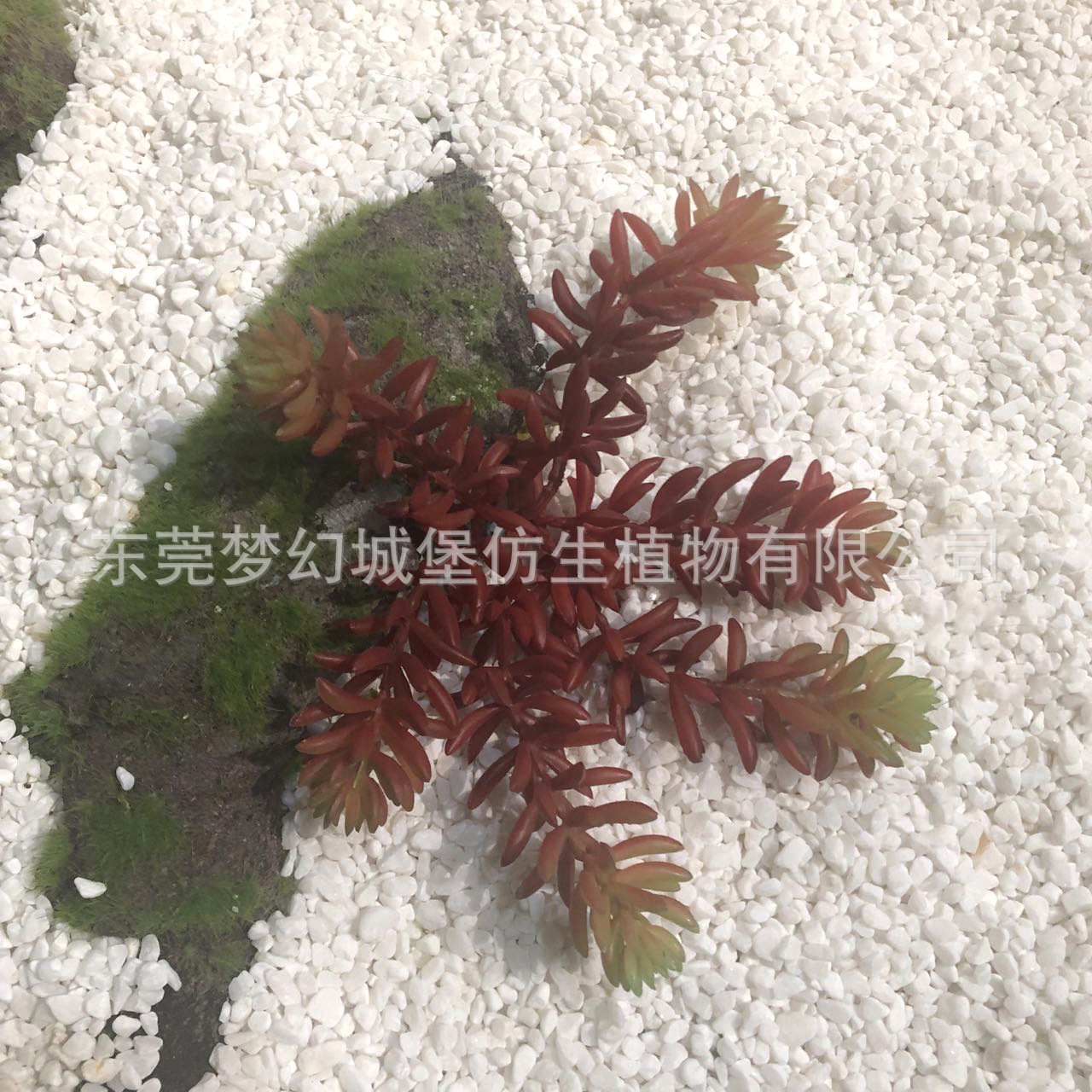 Marco decorativo Planta nórdica colgante de pared decoración de pared colgante de pared tridimensional pared de fondo de planta verde pared cabeza de ciervo simulación suculento planta verde