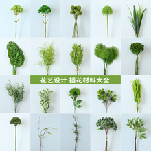 �Gɫ�廨diy���ϻ��Gֲ�~�������ˇ�b��߼ٻ��٘��~