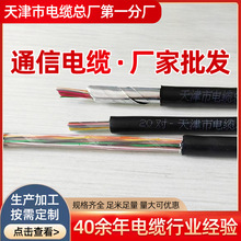 ����20���󌦔�ͨ����|20*2*0.5HYA22����ͨ����|50*2*0.4