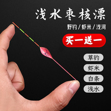 护王高灵敏白条鱼漂纳米短漂枣核抗走水新型浮漂醒目小漂野钓浮标