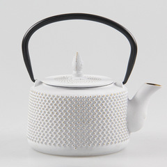 Cast iron kettle with filter, cast iron kettle, iron teapot, rust-proof inner wall, tea kettle, electric ceramic stove, tea set