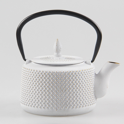 Cast iron kettle with filter, cast iron kettle, iron teapot, rust-proof inner wall, tea kettle, electric ceramic stove, tea set