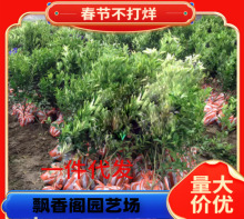 ���Ÿ̘���ͥԺ�������Ә��ļ��̨���Ԏ����޽��箔��Y��������