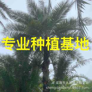 ����������ۗ������l �����������ۗ������ ���U�����������ۗ�