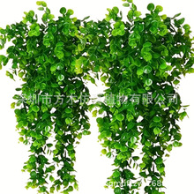 �羳�����ٗl �ȼ����ڒ����Gֲ �ّҒ�ֲ�������Ҿӑ����b�