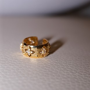 ������Ϳ̹�ˇ�����y���ˇ���18K�����ŵ�͹Ōm͢�ٴ�