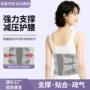 仿生减压四季男女护腰带