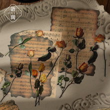 �Z�e�f�՚����͹��زļ� õ��Ӣ�����~�����bɕ���ӛ�±㺞��