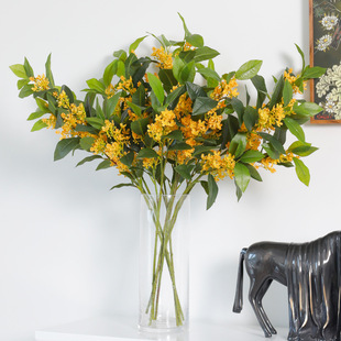 ���滨�𻨆�֦�𻨘��������~�ָ��zƬ�쾰�b�ֲ��Ҿ��~��