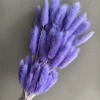 Purple rabbit tails of about 60 pieces of about 60