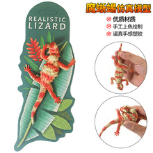 ������zܛ�zħ�������ģ�����Є������_��׃ɫ���ڻ���ͯ�Y��