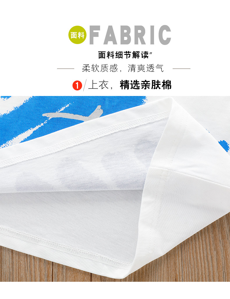 8655沙灘描述04.jpg