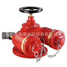 泉星消防国标SQD-100/150水泵结合器多用式接合器消防水泵接合
