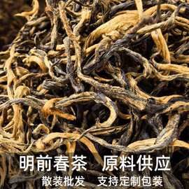 金毛毫明前春茶英红九号英德红茶养生茶批发