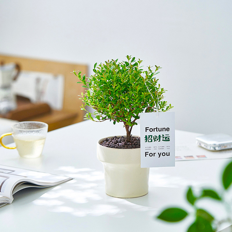 ed70a11b-d5c7-4d78-a85a-27c7b2e8e707.jpe