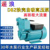 DBZ Booster pump Agricultural minitype 220V Water pipeline Pressure pump household floor Pump Self priming pump