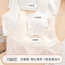 二阶段少女文胸固定杯内衣女初高中学生青春发育期女童运动小背心