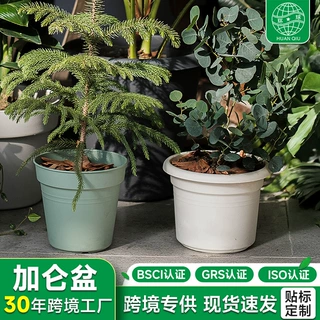 环球加仑盆简约塑料多肉花盆霍伦标准盆果蔬种植盆育苗盆带托盘