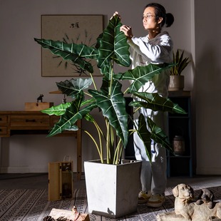 ���溣���_����ˮ�󱱚Wֲ�����ԼҾ��̈�������ؼ٘��쾰�^�b�