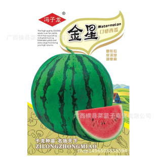 ���ϷN���T�����S��ֱ�����������ش����ļ��Nֲ ���ǿڸ�����