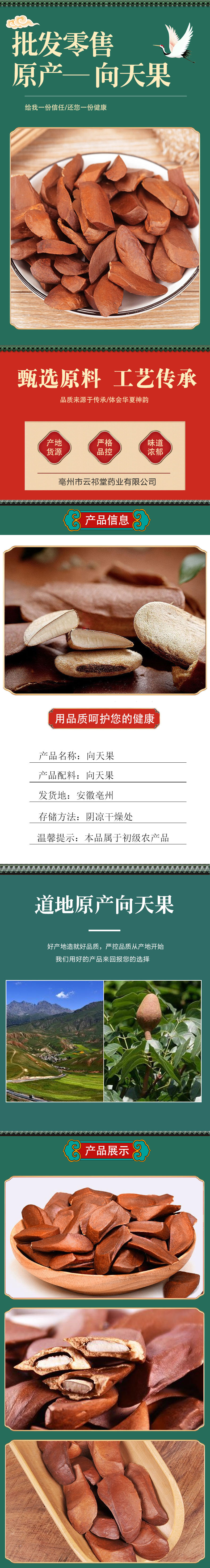 Xiang Tian Guo Kernels (Fructus Swieteniae) — White Nut Kernels, 500g Food Herb overview