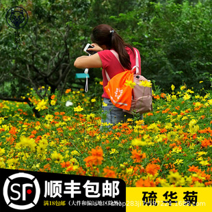 �򻯾ջ��N���Ӳ�˹���S��Ӣ���A�ջ����׷N����ؚ�