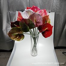 ���滨�����ٻ���ˇƷ������3D��ӡ�zƬ�t�ƏS��ֱ�N���l��c���N