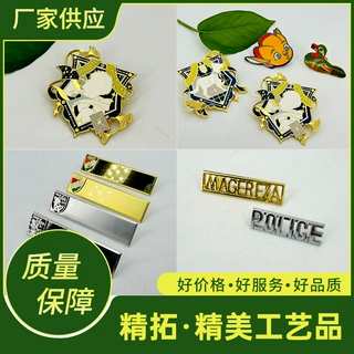 定制徽章工艺礼品 锌合金logo烤漆珐琅工艺徽章奖章 个性化胸章