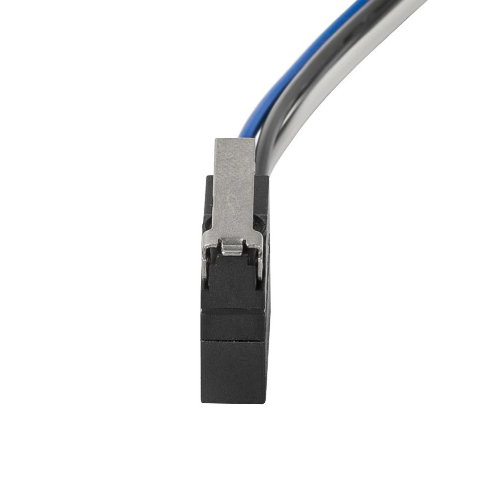 WS1 IP67 Waterproof microcontrol switch wire -type microcontrol switch with line dynamic switch 5A 250V