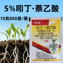 5%�Ŷ���������������������Һ���������ᶡ����M���L����������