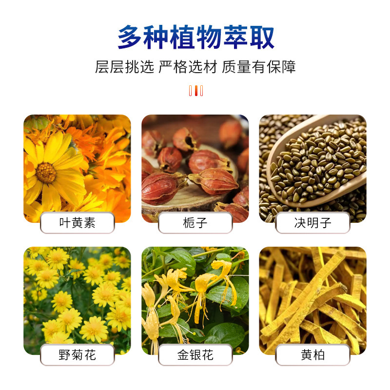 正精研康蓝莓叶黄素眼保健液眼疲劳干涩痒迎风流泪视力模糊护眼液|undefined