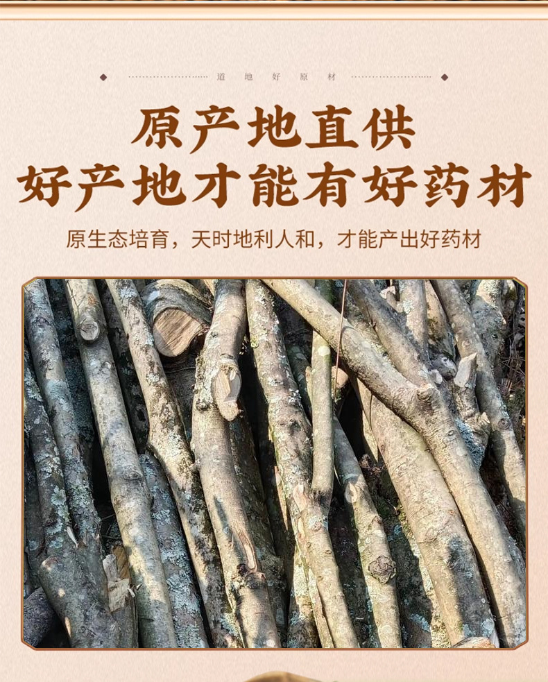 Jiu Bi Ying Dried Herb 500g Ilex rotunda Bark Traditional TCM Decoction Ingredient key features