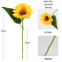 �������տ���֧̫ꖻ��廨�ҾӾƵ�����[��̫ꖻ��Ĕz�������l