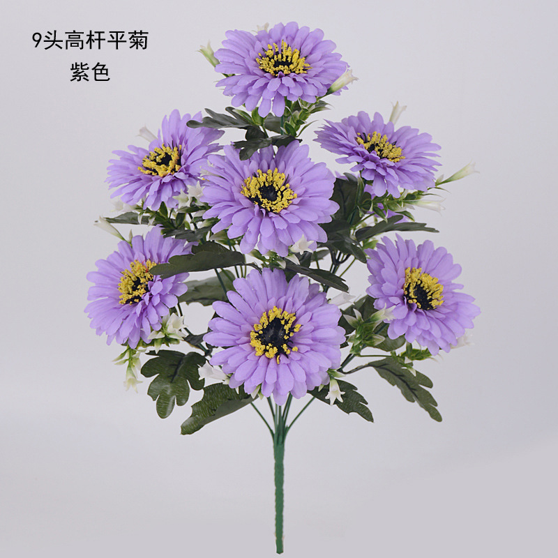 9头高杆平菊03 副本.jpg